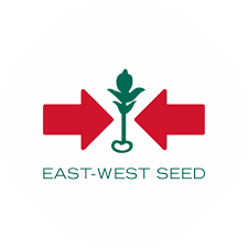 east-west-seed
