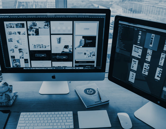 Dedicated WordPress Developers