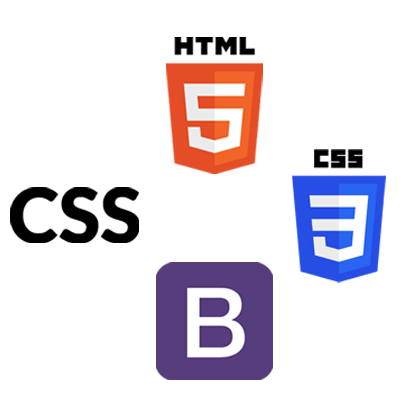 WordPress Developer